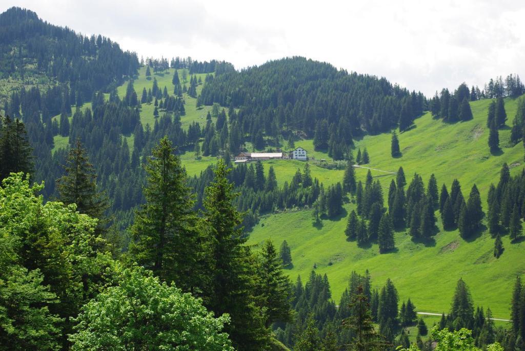 Berggasthaus Sucka Hotel Triesenberg Zewnętrze zdjęcie