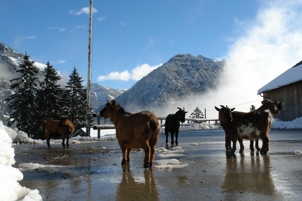 Berggasthaus Sucka Hotel Triesenberg Zewnętrze zdjęcie