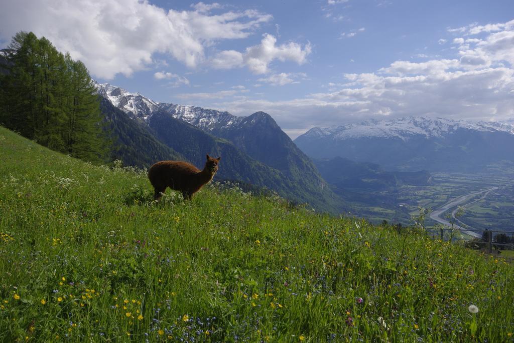 Berggasthaus Sucka Hotel Triesenberg Zewnętrze zdjęcie